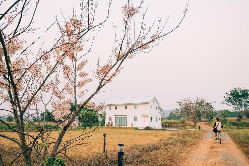 Romance - Another Story In Pai Ngoại thất bức ảnh