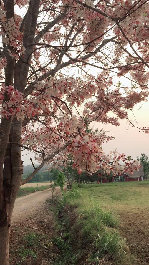 Romance - Another Story In Pai Ngoại thất bức ảnh