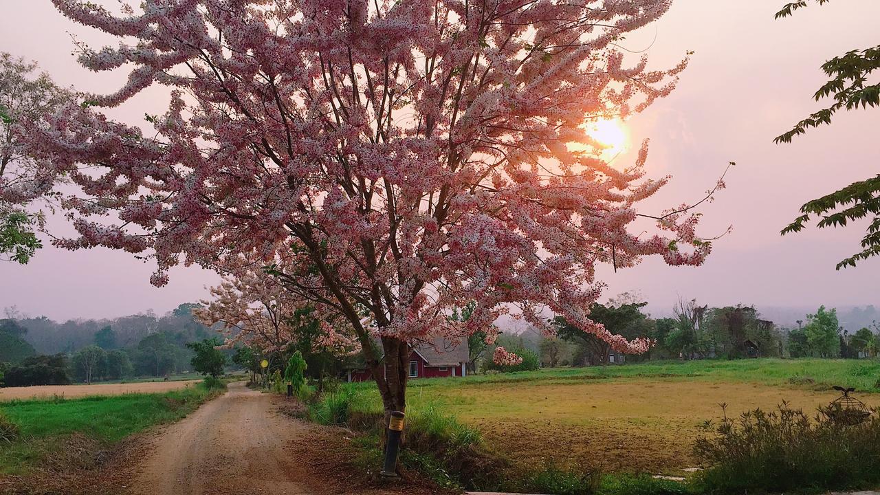 Romance - Another Story In Pai Ngoại thất bức ảnh