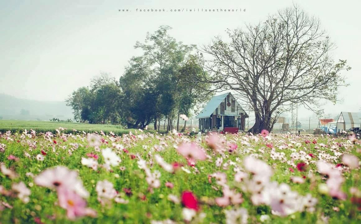 Romance - Another Story In Pai Ngoại thất bức ảnh